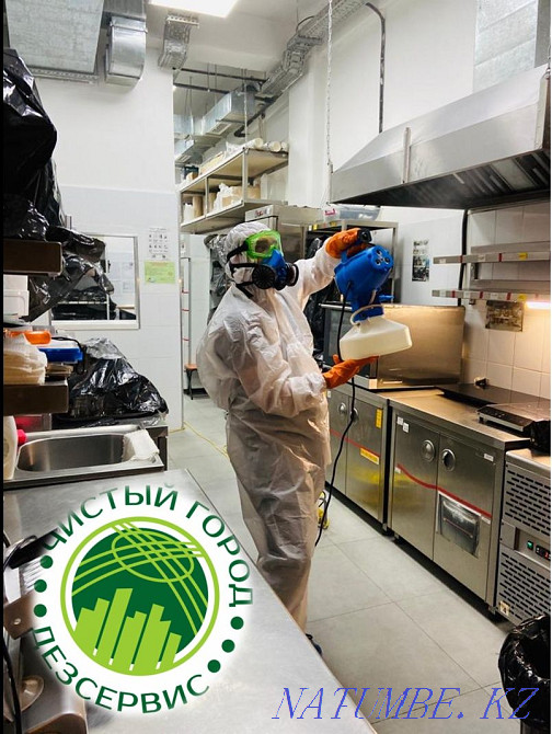Профессиональная дезинфекция, дезинсекция и дератизация!!! Атырау - изображение 1
