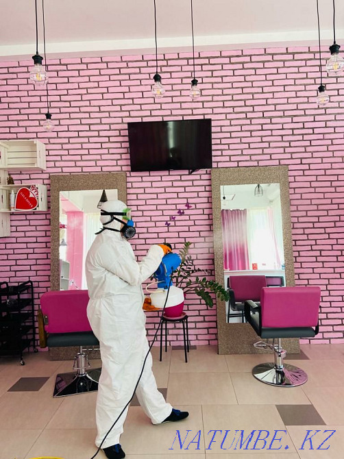 Профессиональная дезинфекция, дезинсекция и дератизация!!! Атырау - изображение 4