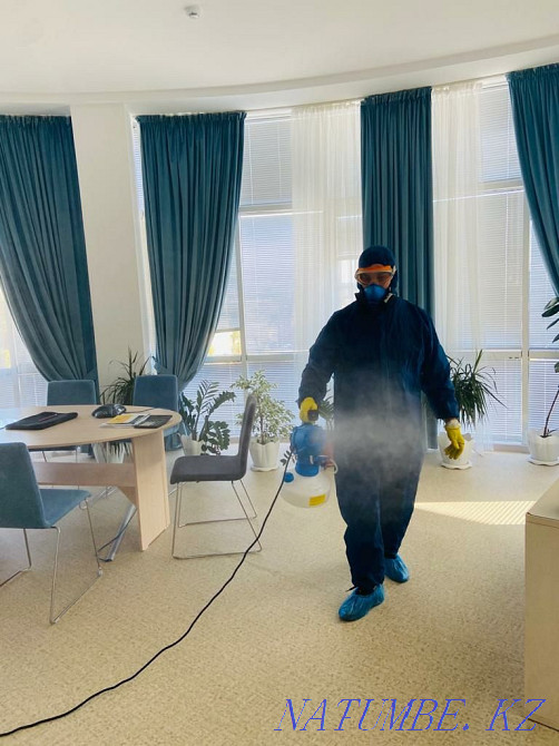 Профессиональная дезинфекция, дезинсекция и дератизация!!! Атырау - изображение 3