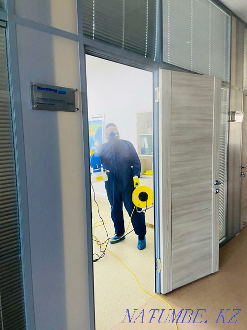 Профессиональная дезинфекция, дезинсекция и дератизация!!! Атырау - изображение 2