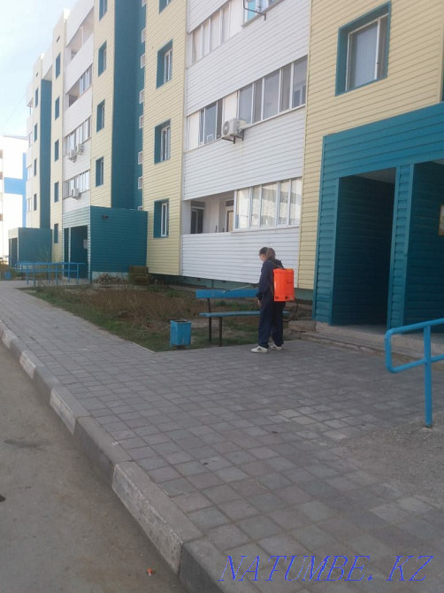 Дезинфекция dezinfeksiya_sat Сатпаев - изображение 7