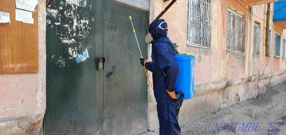 Дезинфекция dezinfeksiya_sat Сатпаев - изображение 6