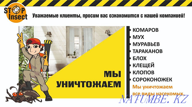 Disinfection.destruction of bedbugs,cockroaches.rodents. Temirtau - photo 1