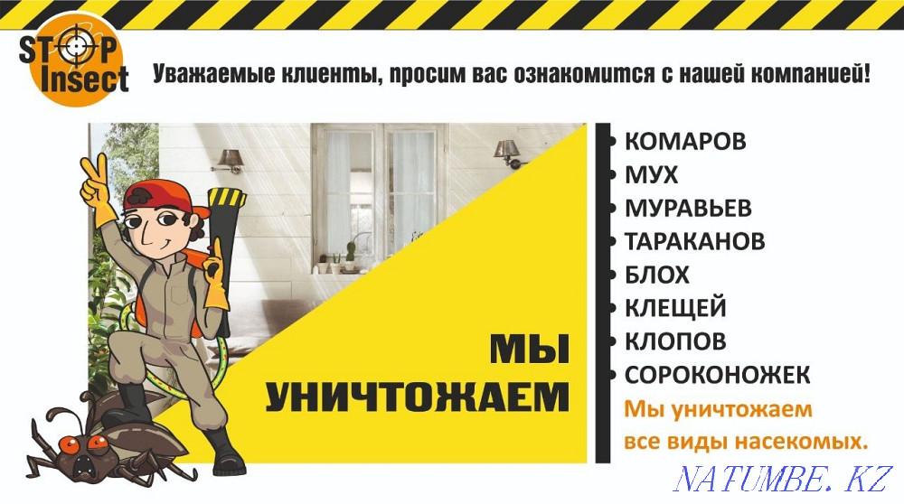 Дезинфекция.тараканы,клопы.грызуны. Караганда - изображение 1