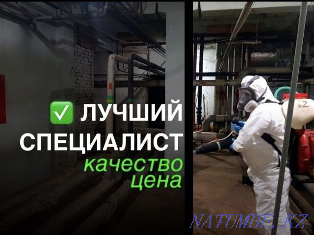 Дезинфекция Г.Тараз Нәтижесі 100%  Тараз  - изображение 1