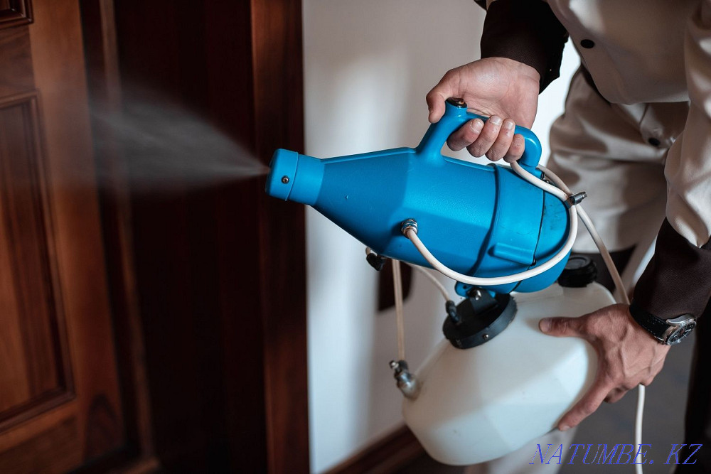 Обработка насекомых с Германским химикатом Шымкент - изображение 4