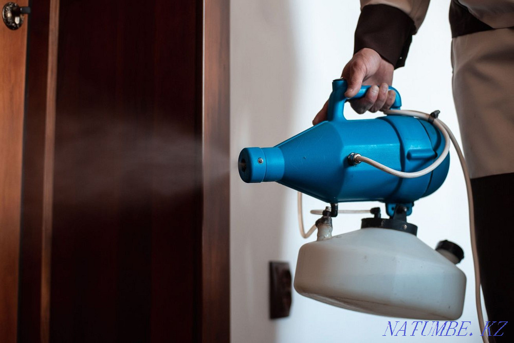 Обработка насекомых с Германским химикатом Шымкент - изображение 2