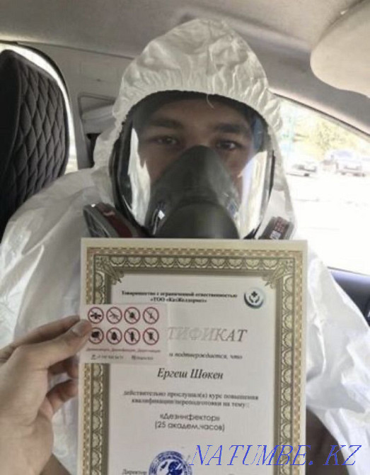 Акция! Дезинсекция, Дизинфекция с вредителями. борьба с насекомами Астана - изображение 1