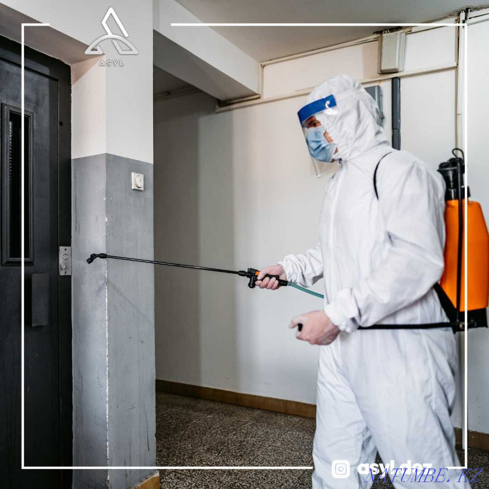 Disinfection Treatment for all insects Almaty - photo 7