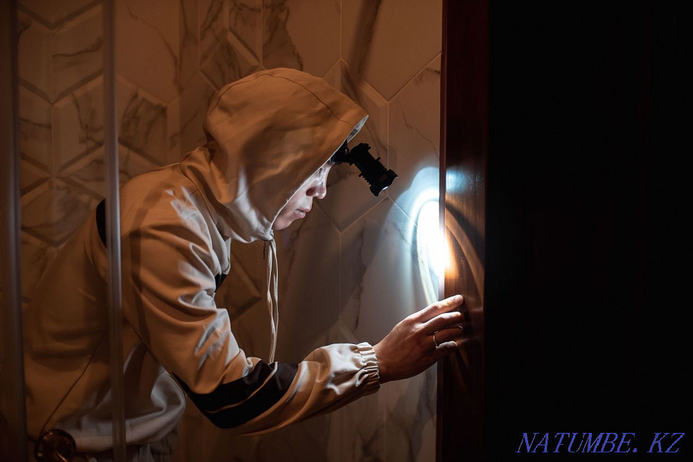 Disinfection Treatment for all insects Almaty - photo 2