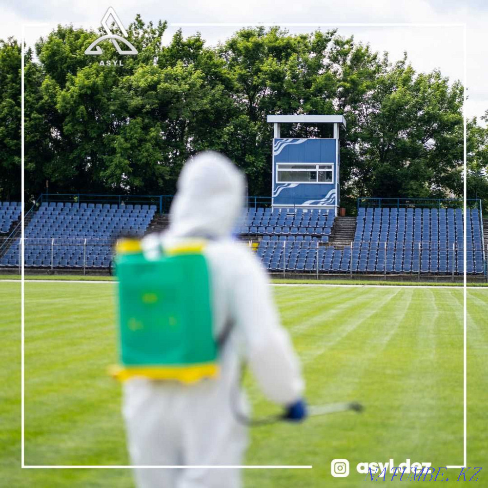 Disinfection Treatment for all insects Almaty - photo 6