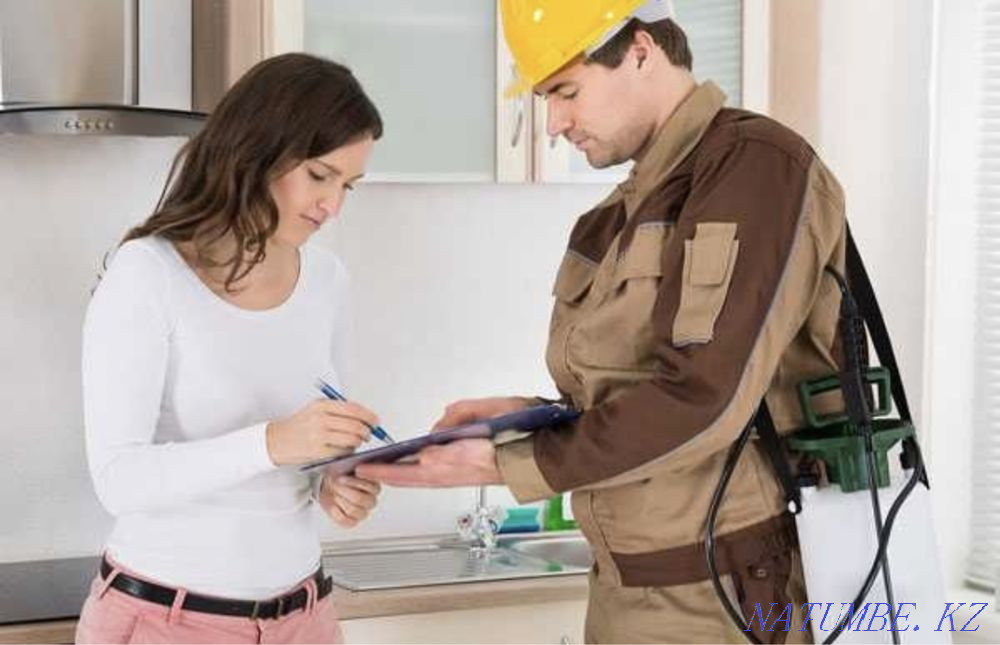 Disinfection quality100% Taraz - photo 3