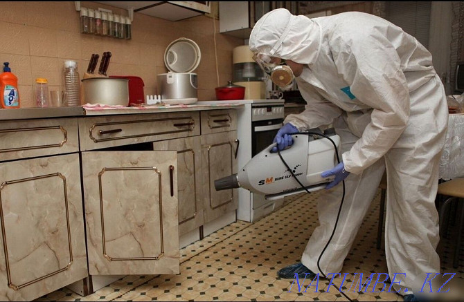 Processing from bedbugs, cockroaches | Destruction of insects | Disinfection Kostanay - photo 2