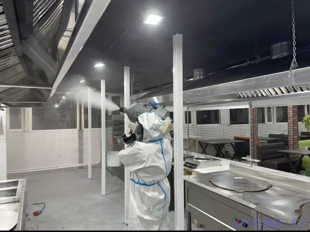 Обработка от клопов, тараканов | Уничтожение насекомых | Дезинфекция Костанай - изображение 5