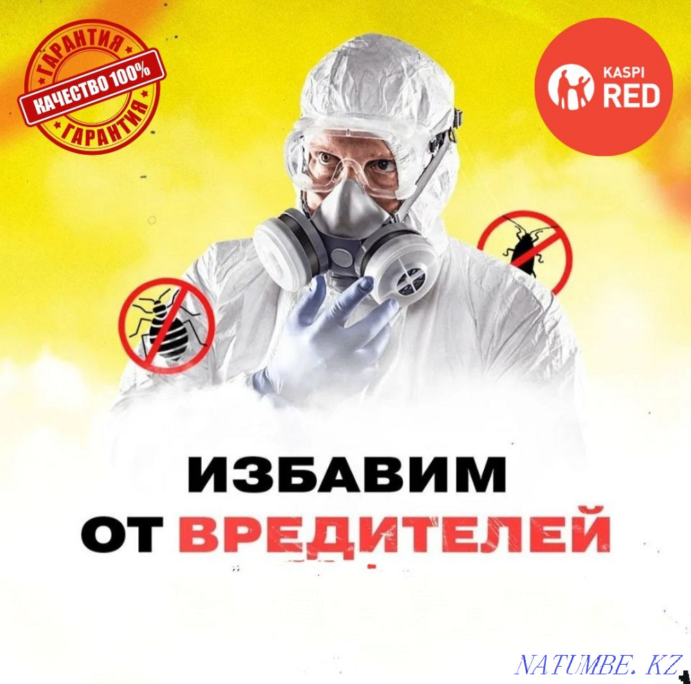 Обработка от клопов, тараканов | Уничтожение насекомых | Дезинфекция Костанай - изображение 1