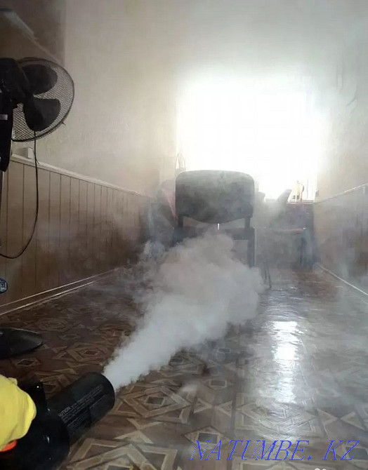 Обработка от клопов, тараканов | Уничтожение насекомых | Дезинфекция Костанай - изображение 4