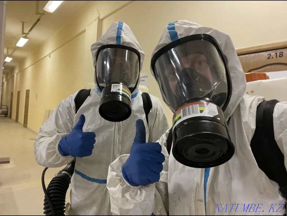 Обработка от клопов, тараканов | Уничтожение насекомых | Дезинфекция Костанай - изображение 6