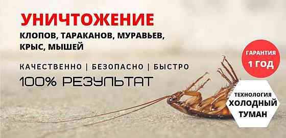 Гарантия! Дезинфекция насекомых крыс,клещей,муравьев,клопов,тараканов Karagandy