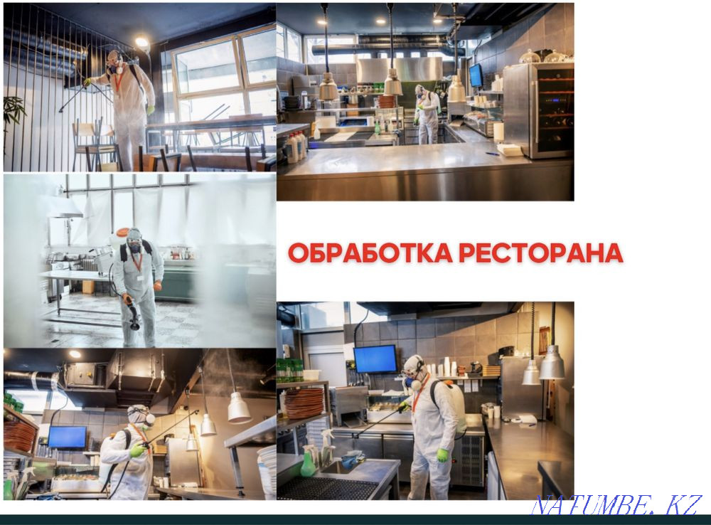 Дезинфекция Тараз - изображение 2