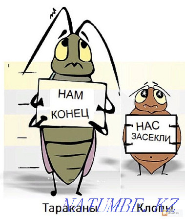 disinfection Kazakhstan Semey - photo 3