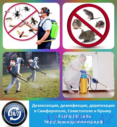 disinfection Kazakhstan Semey - photo 4