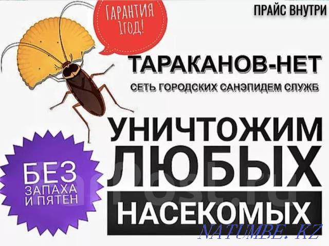дезинфекция Қазақстан  отбасы  - изображение 2