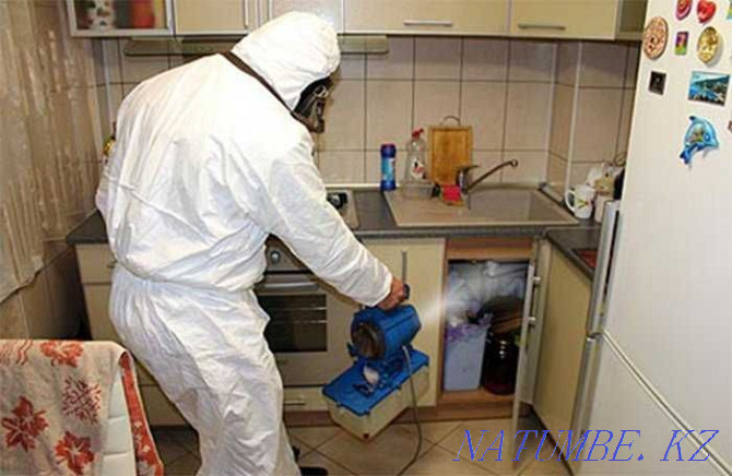 PROMOTION Disinfection of premises DESTRUCTION of bedbugs, rodents, cockroaches Almaty - photo 3