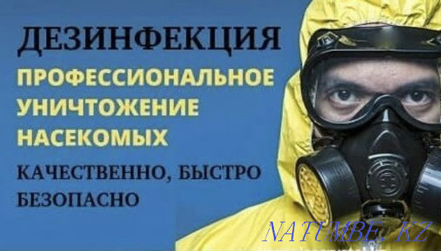 Disinfection. Result 100% Taraz - photo 1