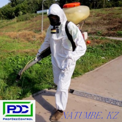 Дезинфекция, дезинсекция, дератизация.Жеңілдіктер.  Өскемен - изображение 3