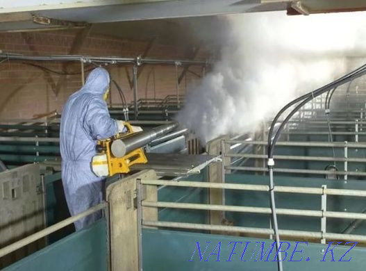 СЭС Дезинфекция клопов тараканов комары Атырау - изображение 4