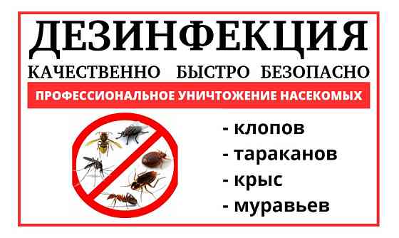 Уничтожение клопов,тараканов,муравьев,крыс,клещей,блох,ос! ДЕЗИНФЕКЦИЯ Karagandy