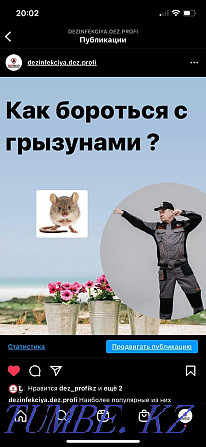 Disinfection from insects and rodents! Prices are tailored for you! Astana - photo 7