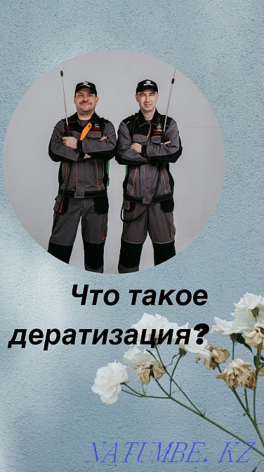 Дезинфекция от насекомых и грызунов ! Цены ориентированы для Вас! Астана - изображение 6