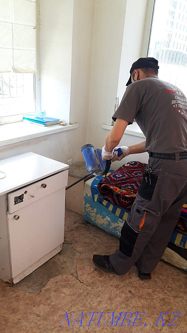 Дезинфекция от насекомых и грызунов ! Цены ориентированы для Вас! Астана - изображение 5