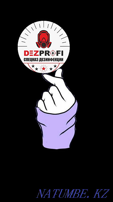 Дезинфекция от насекомых и грызунов ! Цены ориентированы для Вас! Астана - изображение 1