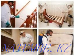 Reliable Disinfection Karagandy - photo 2