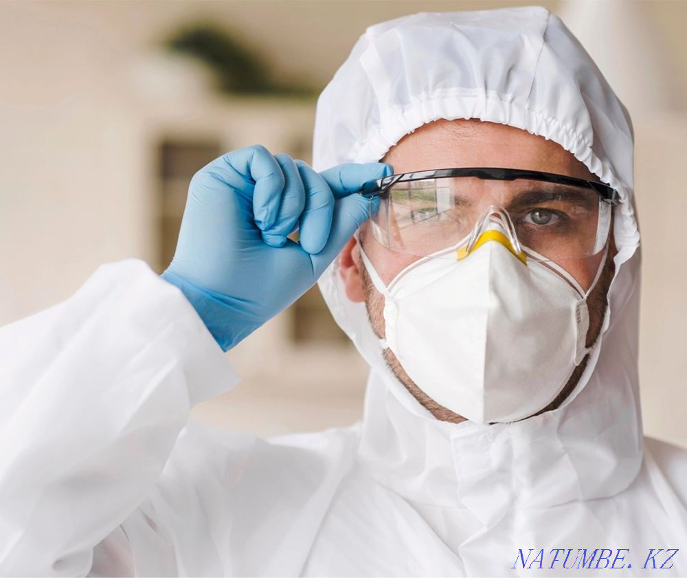 Insect disinfection Ekibastuz - photo 2