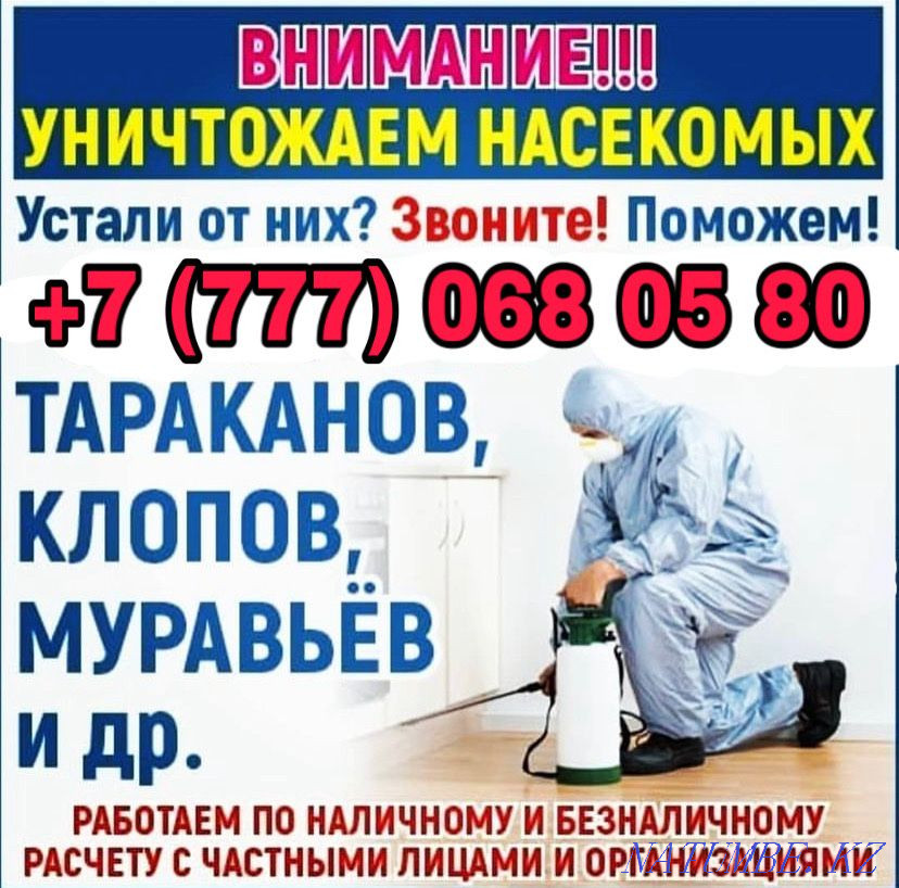 Insect disinfection Ekibastuz - photo 1