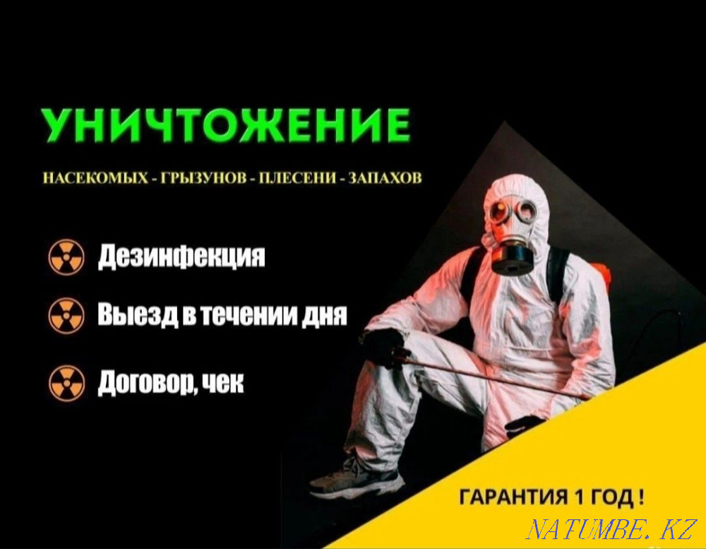 Disinfection in Taraz Taraz - photo 1