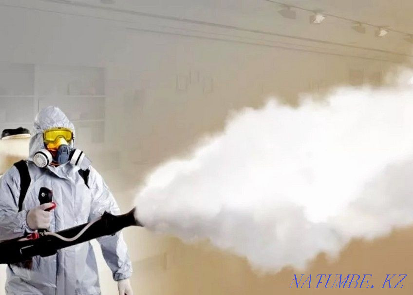 Дезинфекция Дезинсекция Дератизация  Ақтөбе  - изображение 2