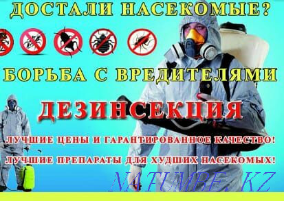 Disinfection according to SES regulations Oral - photo 2