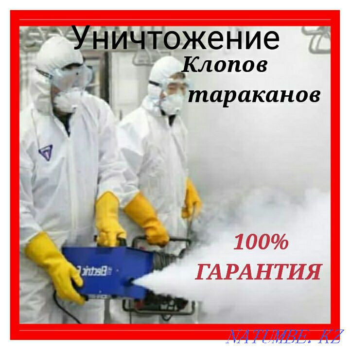 Disinfection according to SES regulations Oral - photo 1