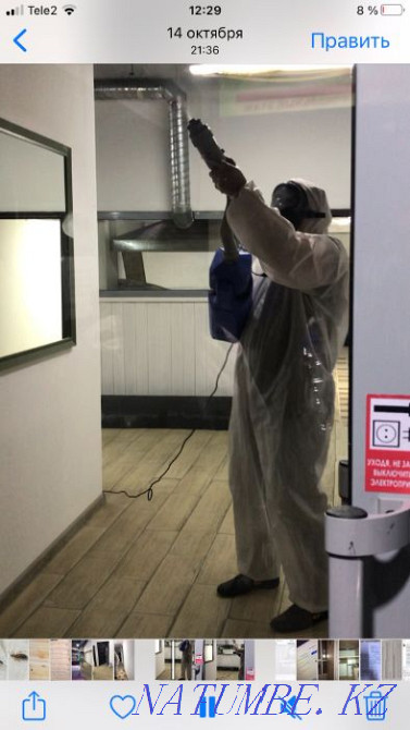 Клопы, мыши, Тараканы , Дезинфекция, бесплатная консультация Астана - изображение 4