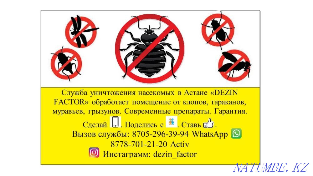 Клопы, мыши, Тараканы , Дезинфекция, бесплатная консультация Астана - изображение 2