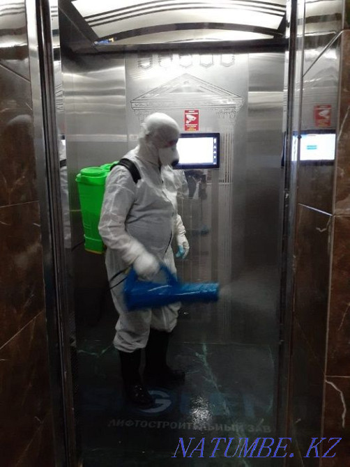 Клопы, мыши, Тараканы , Дезинфекция, бесплатная консультация Астана - изображение 3