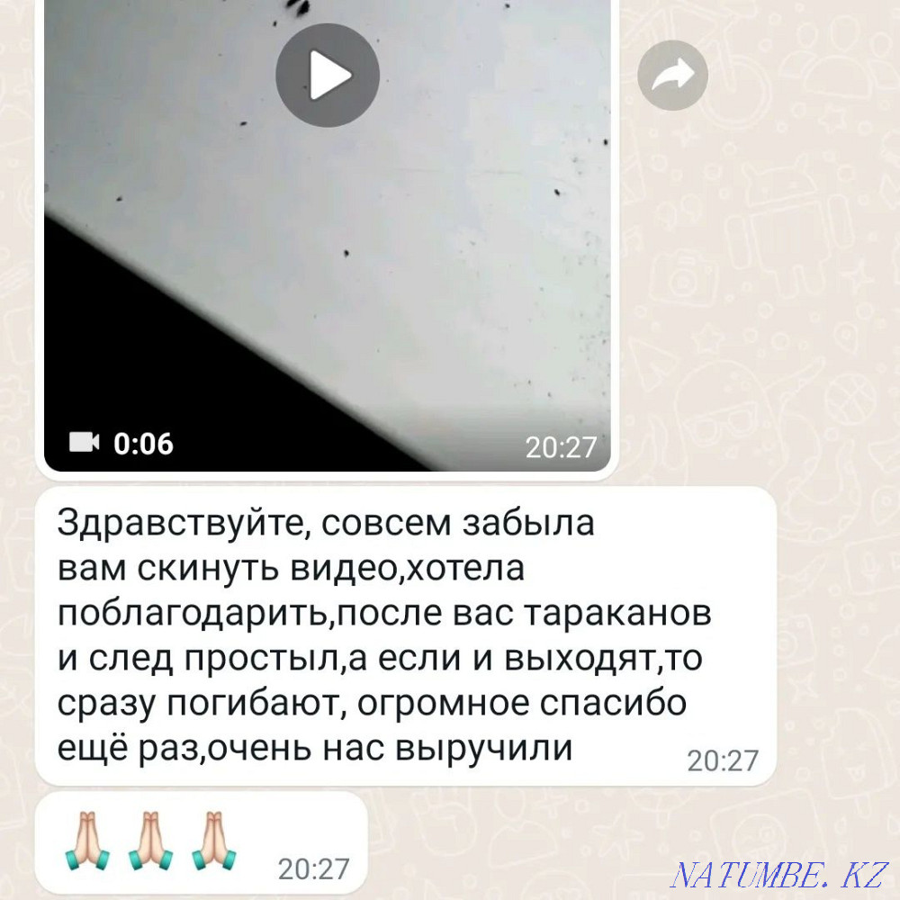 Disinfection in Shymkent with a guarantee Shymkent - photo 2