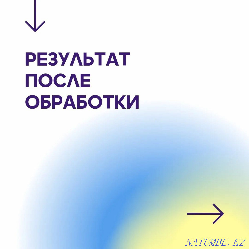 Disinfection in Shymkent with a guarantee Shymkent - photo 1