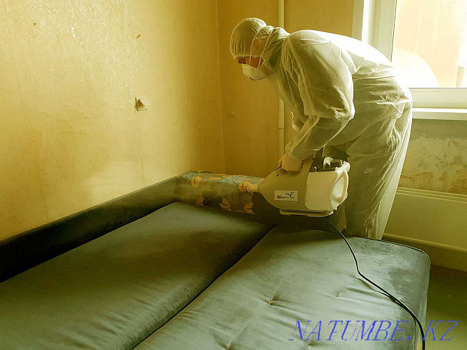 Disinfection of bedbugs Destruction of insects Zhezkazgan Zhezqazghan - photo 2