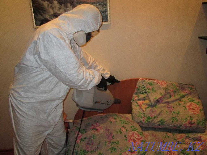 Disinfection of bedbugs Destruction of insects Zhezkazgan Zhezqazghan - photo 1