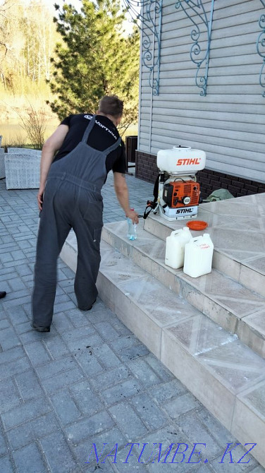 Дезинфекция клопов Уничтожение насекомых г. Петропавловск Петропавловск - изображение 5